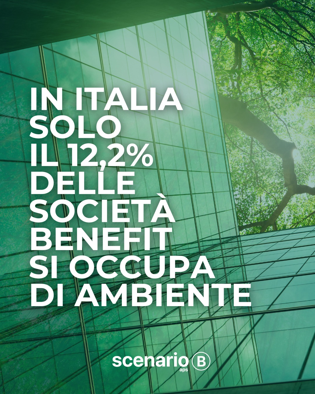 Italia: solo il 12,2% delle Società Benefit si occupa di ambiente