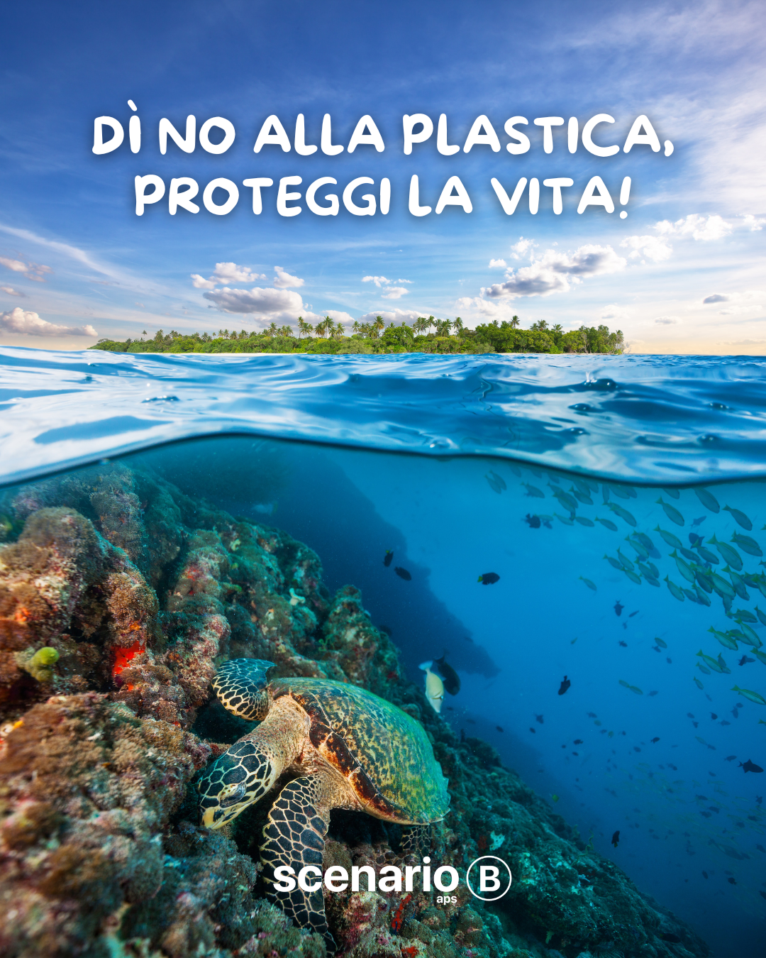  Dì NO alla plastica! Ecco alcuni consigli