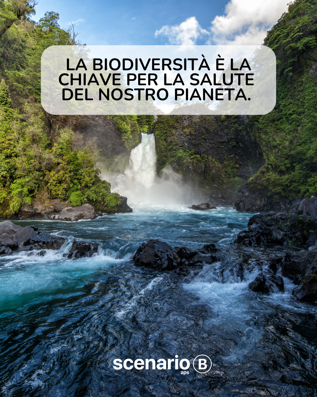 La biodiversità è la chiave per il pianeta.